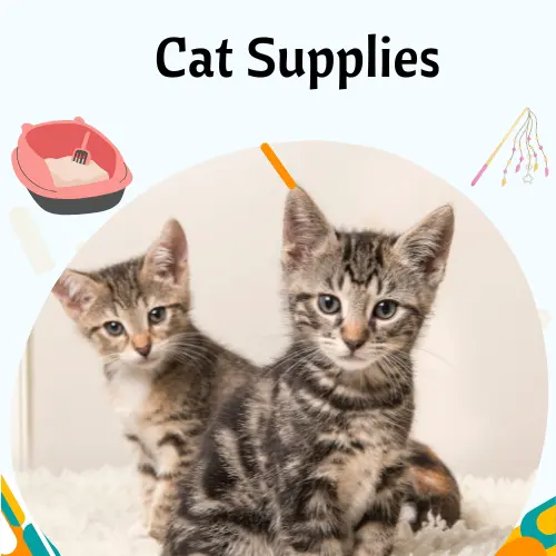 Cat Supplies