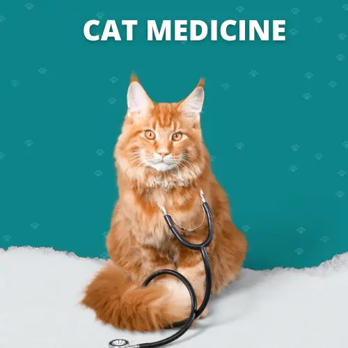 Cat Medicine