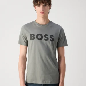 Boss Dulivio Grey T-Shirt Premium Exported