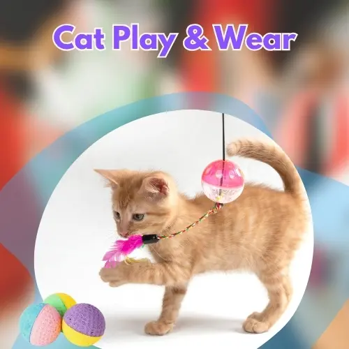 Cat Play & Wear